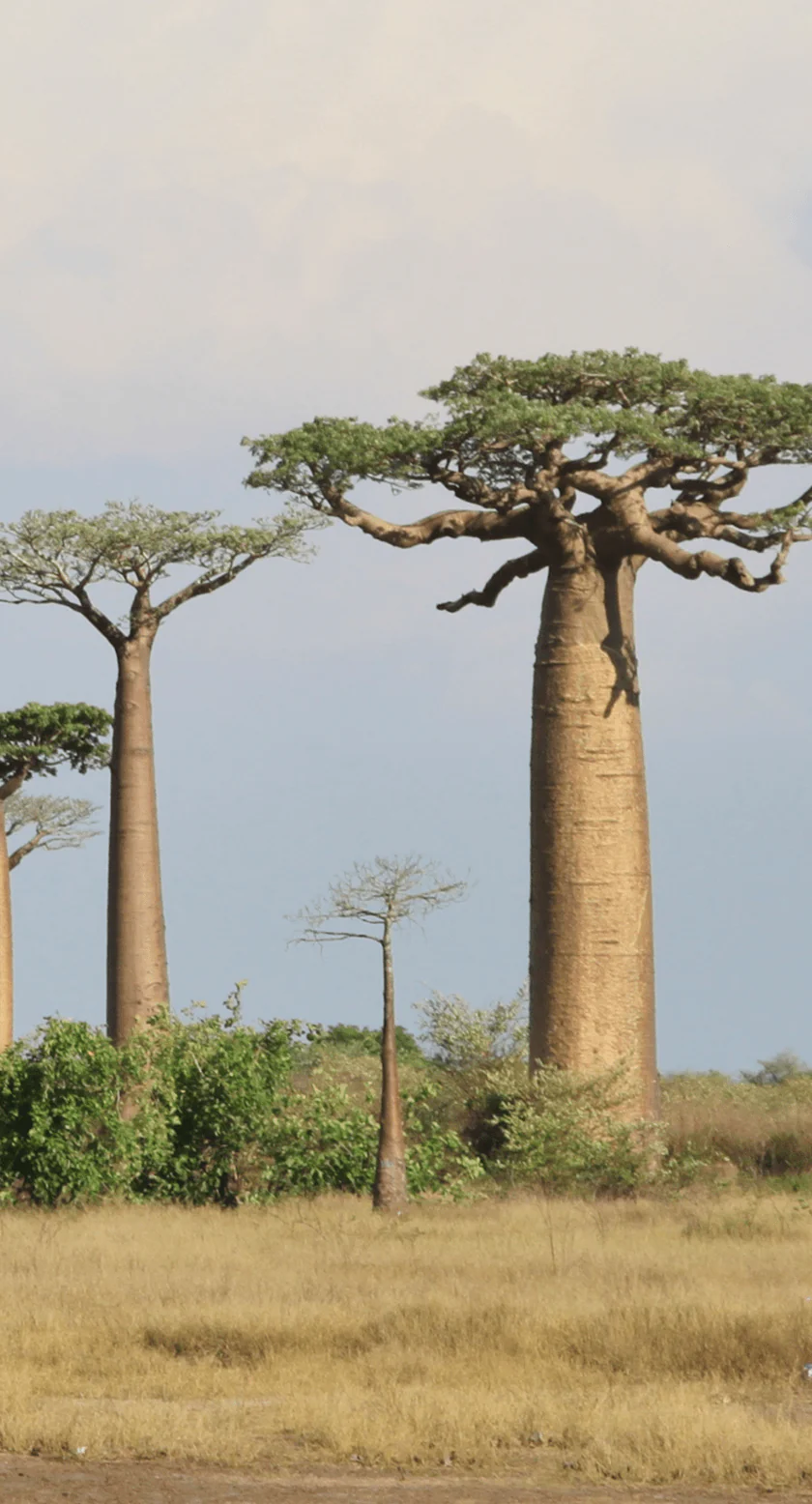 Productos filosofía